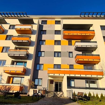 Cozy Studio Apartamento Braşov Exterior foto