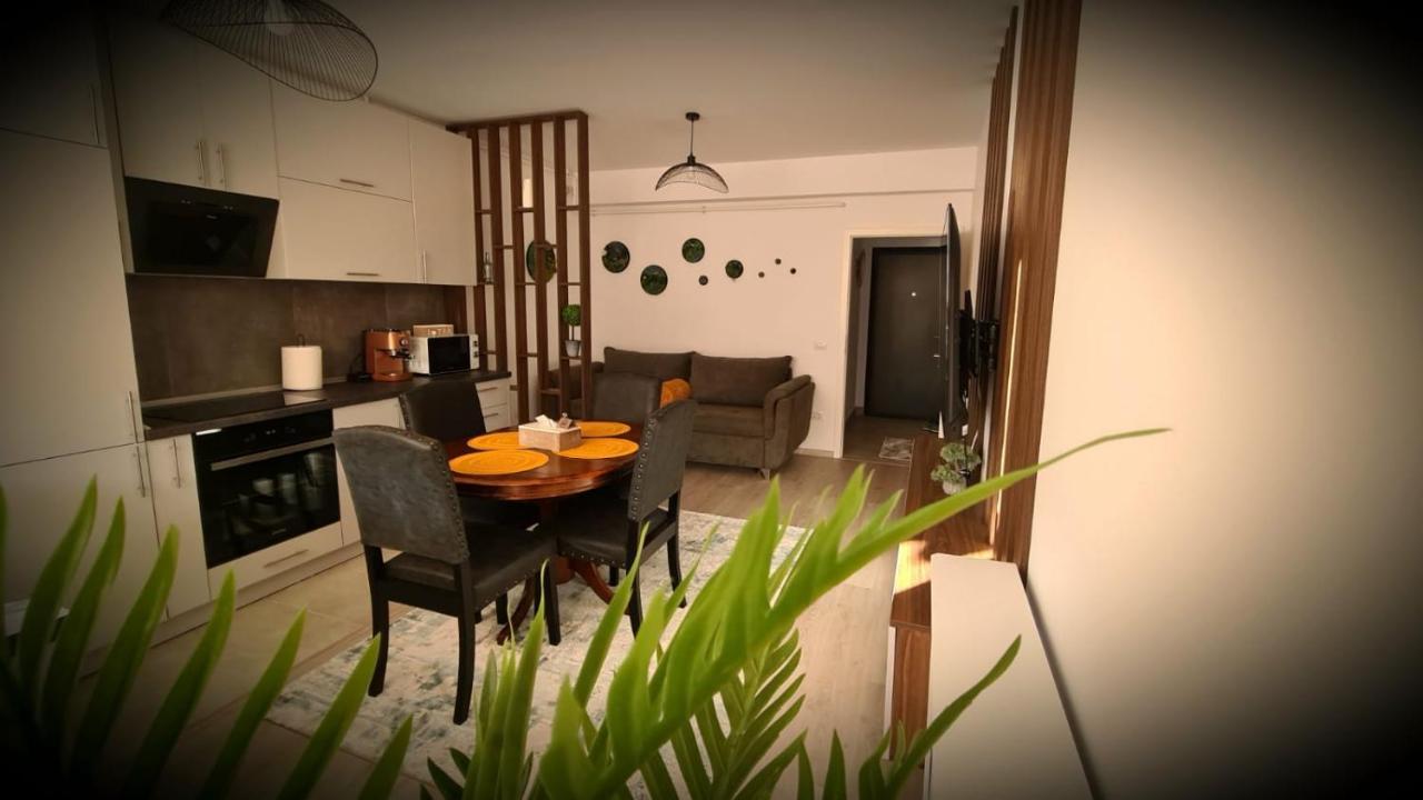 Cozy Studio Apartamento Braşov Exterior foto