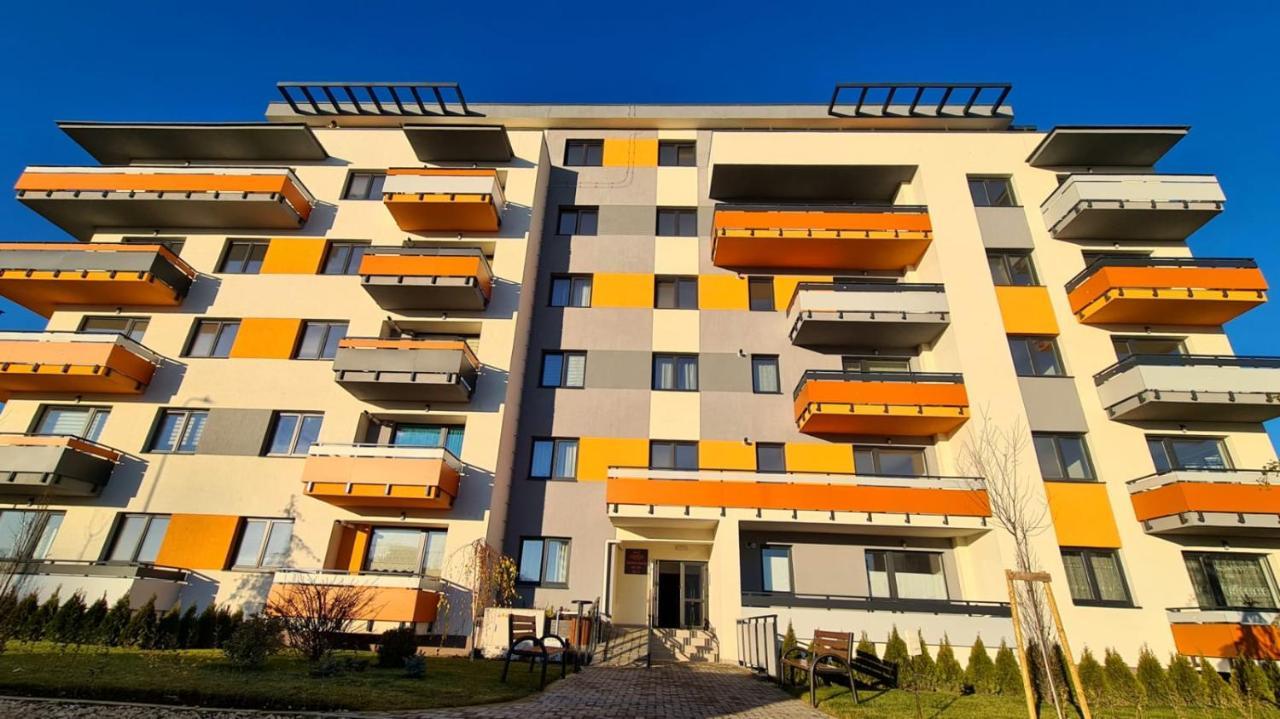 Cozy Studio Apartamento Braşov Exterior foto