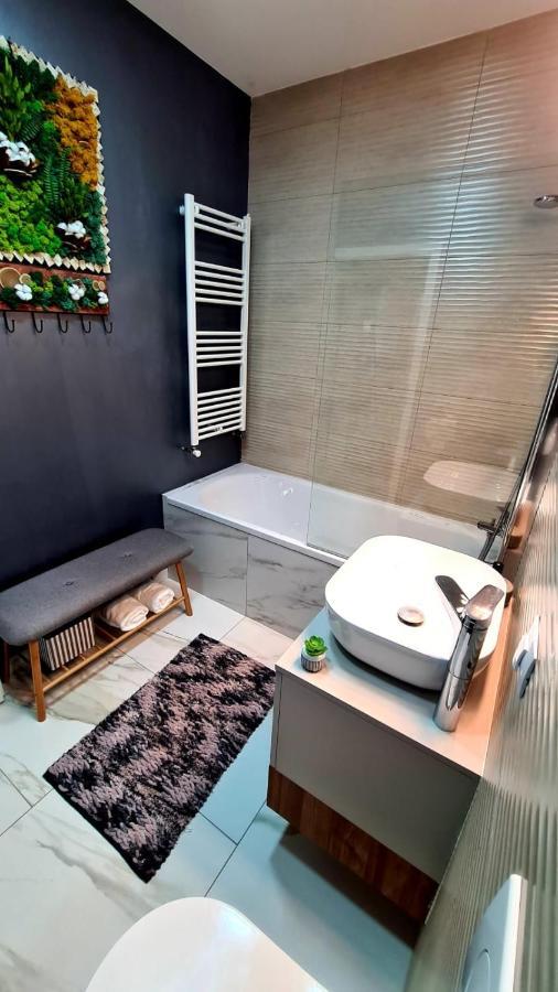 Cozy Studio Apartamento Braşov Exterior foto